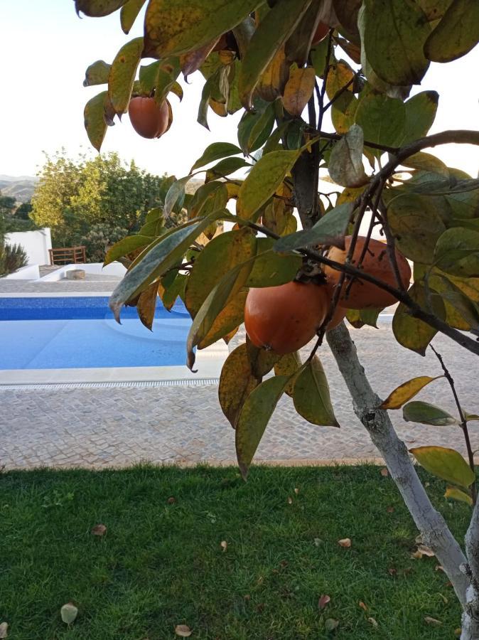 Monte Papa Figos Villa Malhao  Exteriör bild