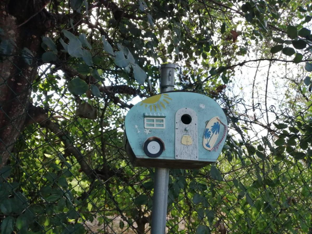 Monte Papa Figos Villa Malhao  Exteriör bild